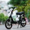 Xe dap dienn Dk Samurai trang