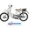 Cub 86 Sumotor 50cc