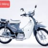 Cub 86 Sumotor 50cc